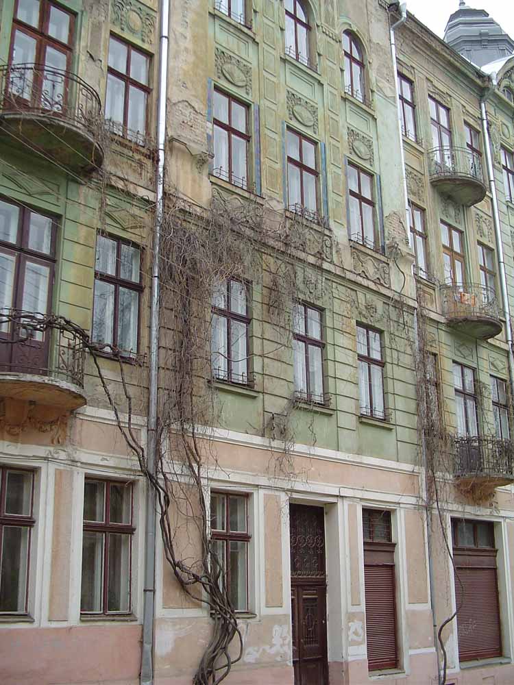 dsc03174.jpg