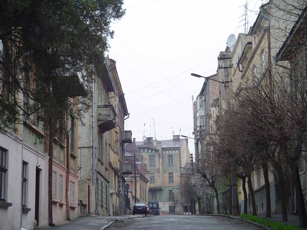 dsc03446.jpg
