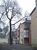 dsc03360.jpg