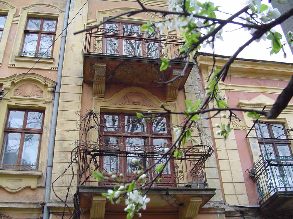 dsc03600.jpg