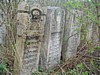dsc03558.jpg
