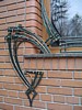 dsc03594.jpg