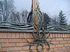 dsc03595.jpg