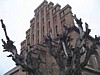 dsc03624.jpg