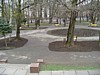 dsc03674.jpg