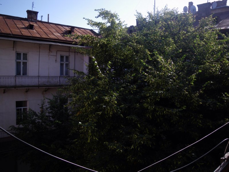 t144514_9.jpg