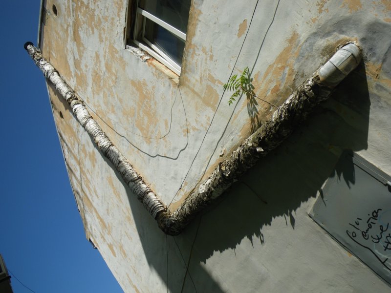 t144515_24.jpg