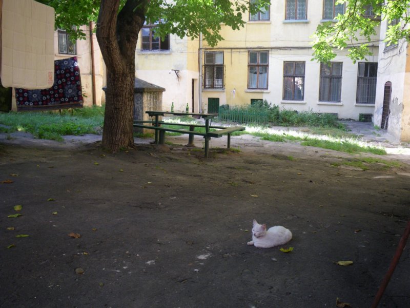 t144515_39.jpg