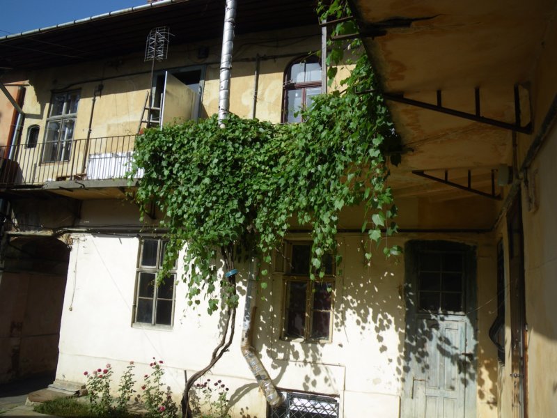 t144516_50.jpg