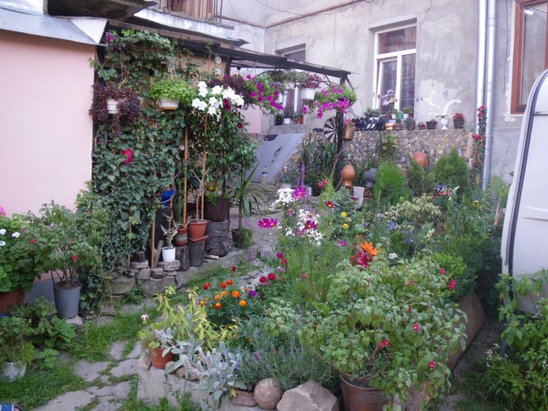t144517_78.jpg