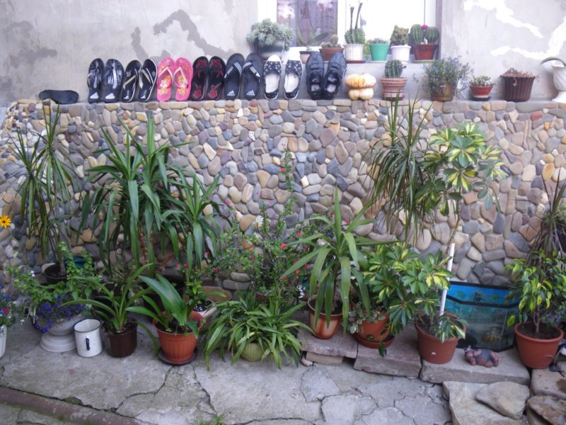t144518_82.jpg