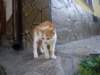 t144518_94_small.jpg