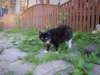 t144518_96_small.jpg