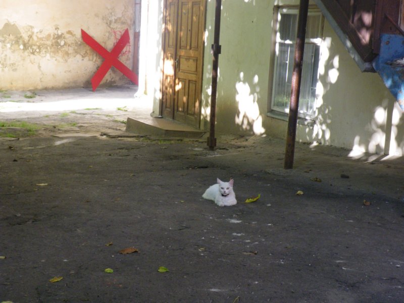 t144522_164.jpg