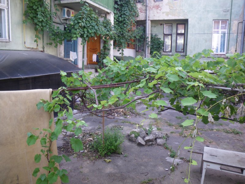 t160025_32.jpg