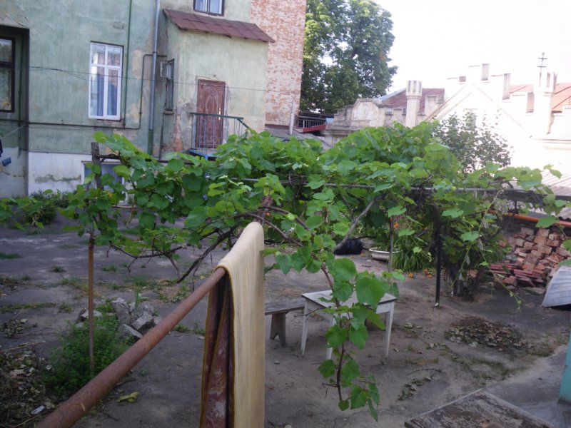 t160026_36.jpg