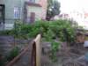 t160026_36_small.jpg