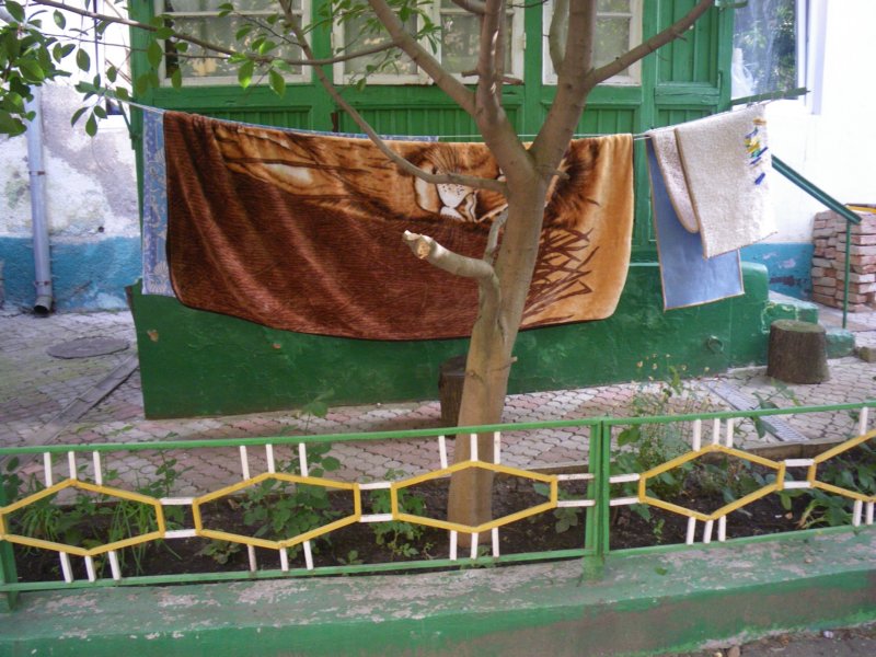 t160026_45.jpg