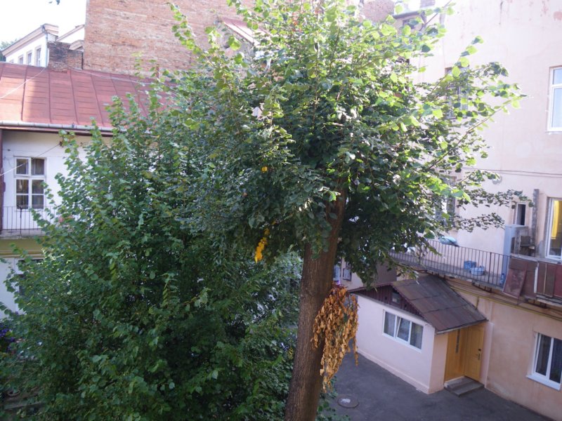 t160026_47.jpg