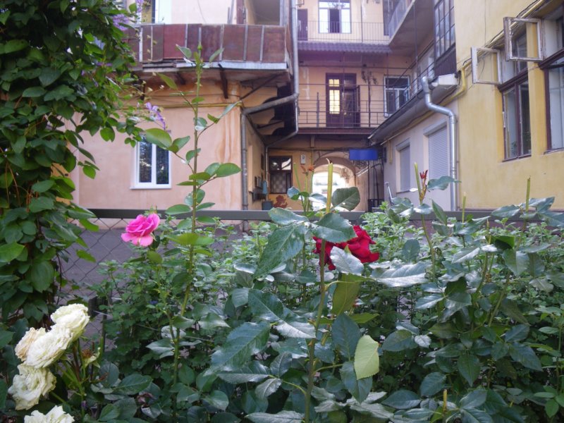 t160026_51.jpg