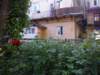 t160026_53_small.jpg