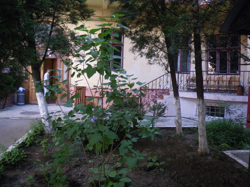 t160026_54.jpg