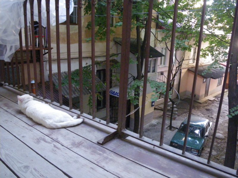t160027_70.jpg