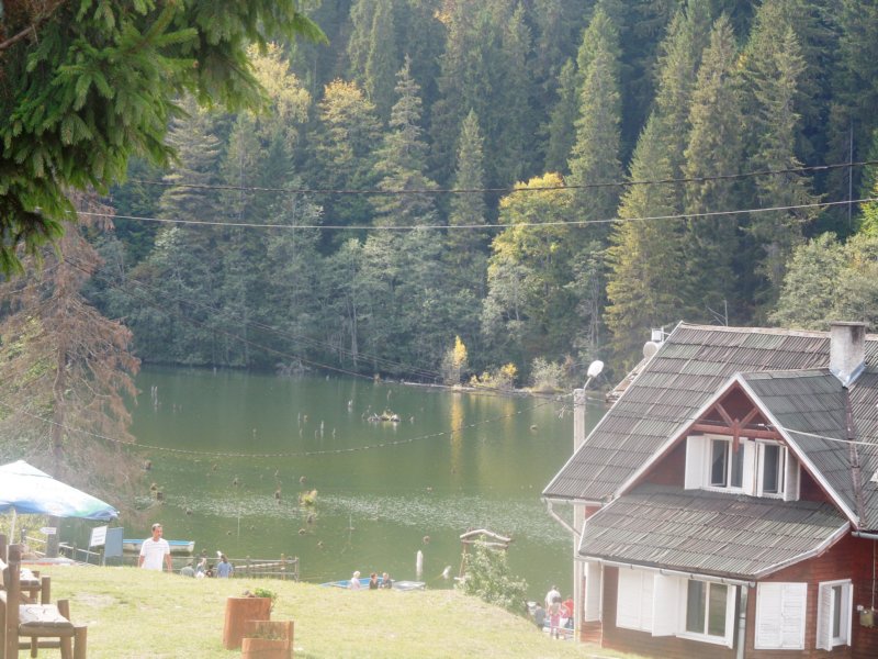 dscn0561.jpg