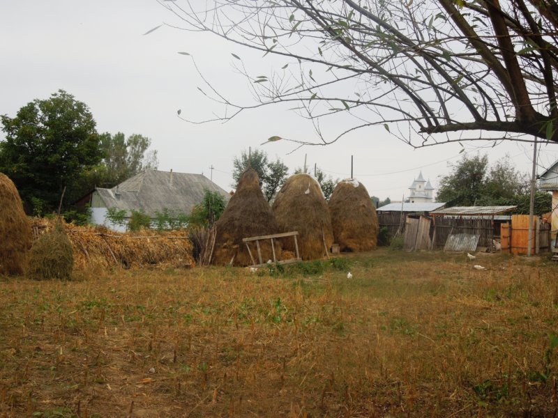 dscn0721.jpg