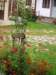 dscn0767_small.jpg