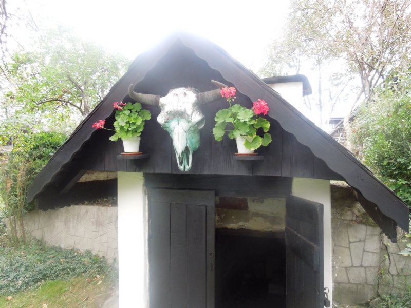 dscn0769.jpg