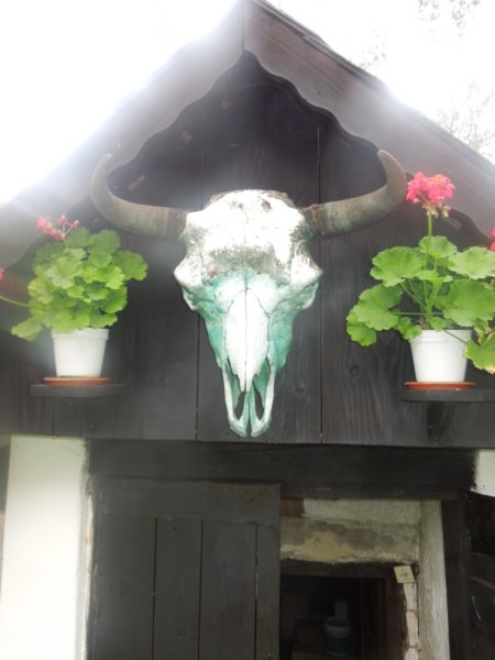 dscn0770.jpg