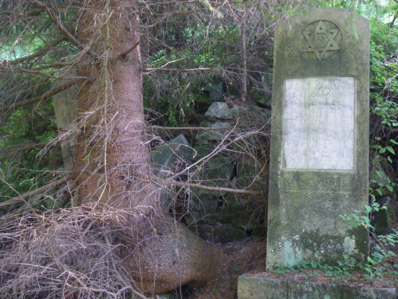t174431_6.jpg