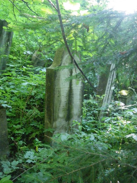t181524_5.jpg