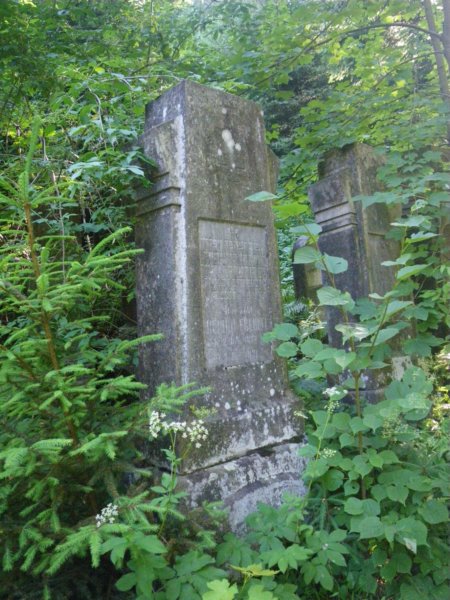 t181525_17.jpg