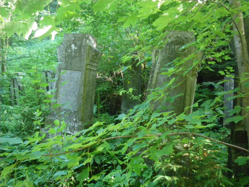 t181525_25.jpg