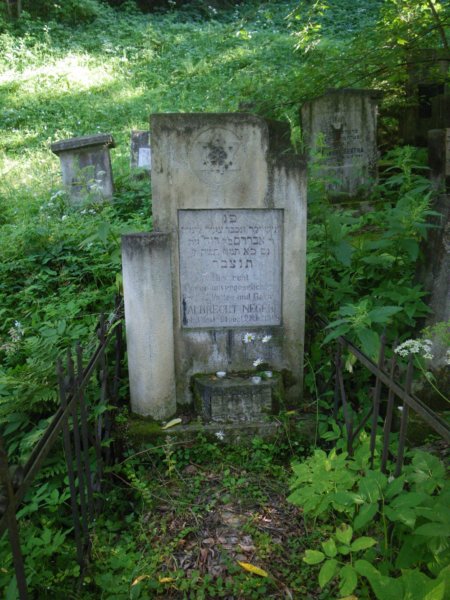 t181525_30.jpg
