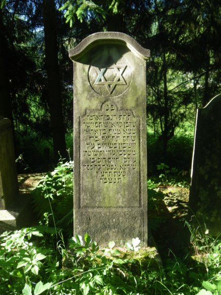 t181526_33.jpg