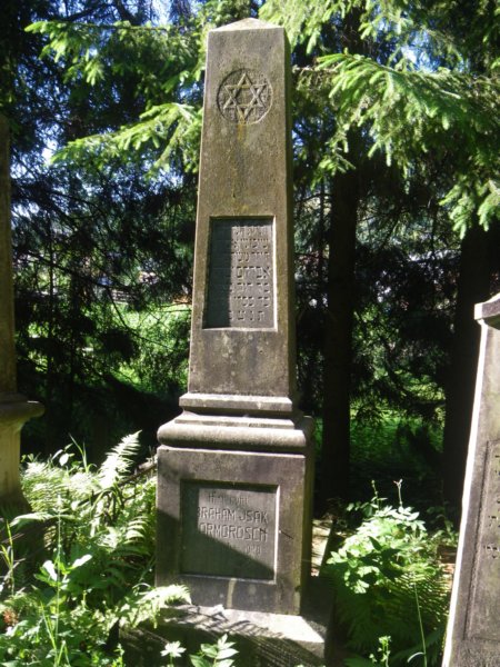 t181526_37.jpg