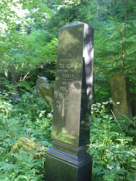 t181526_41.jpg