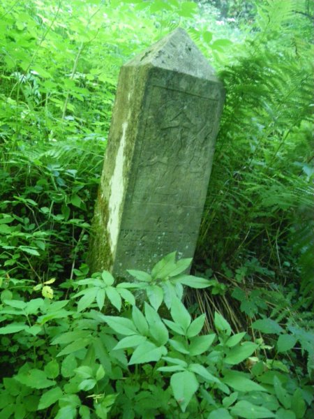 t181526_44.jpg