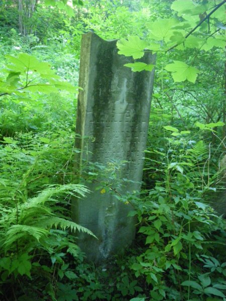 t181526_46.jpg