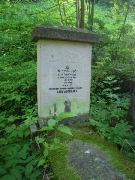 t181526_50.jpg