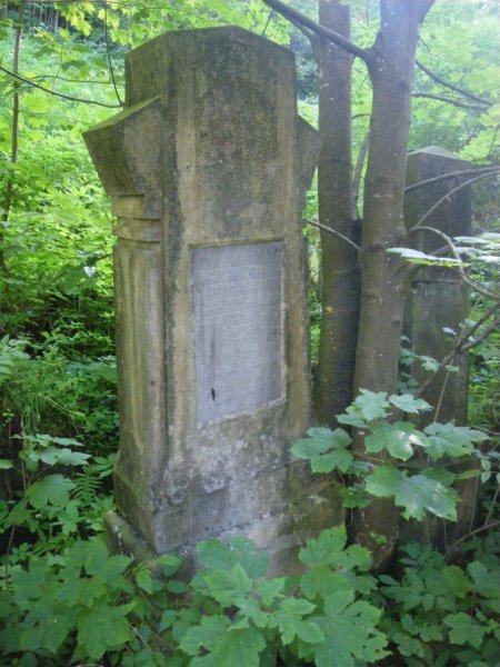 t181527_53.jpg