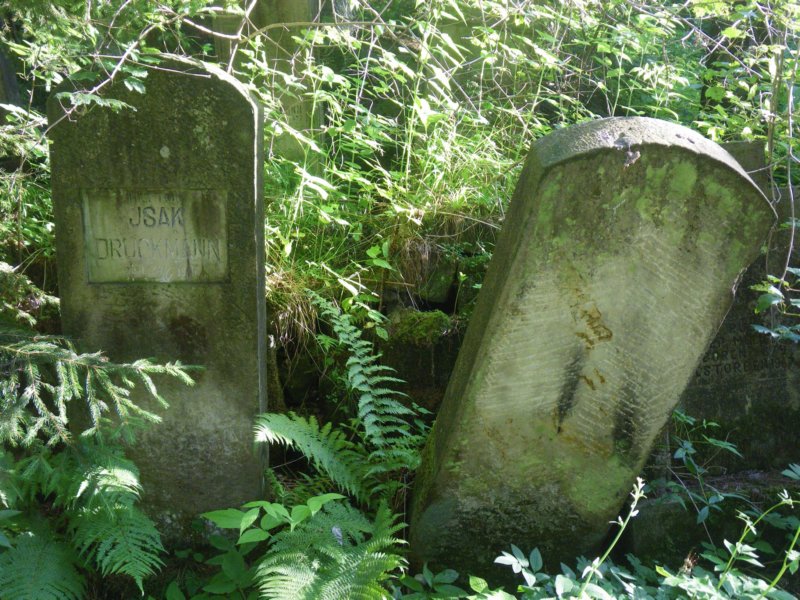 t181527_56.jpg