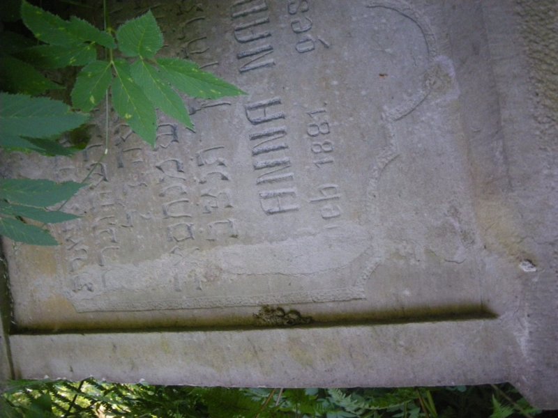 t181527_57.jpg