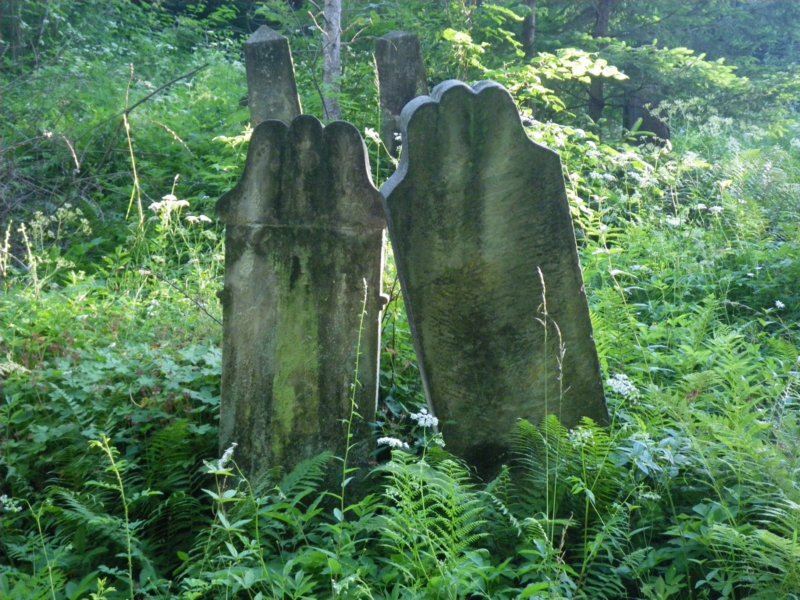 t181527_66.jpg