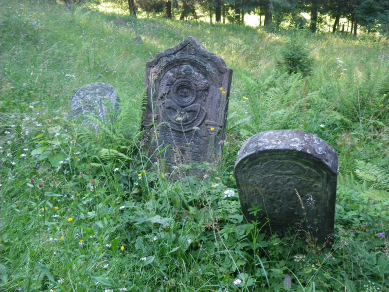 t181527_68.jpg