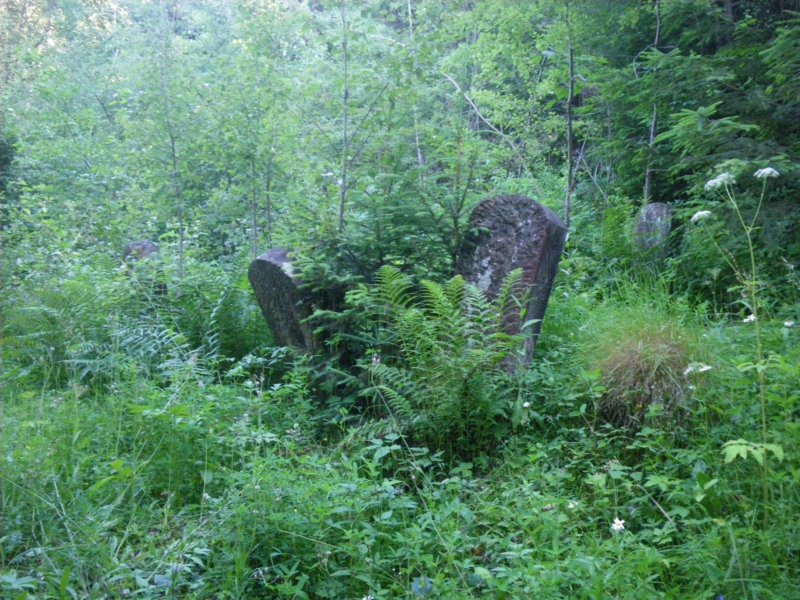 t181527_72.jpg