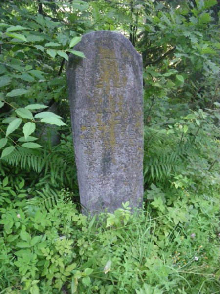 t181528_74.jpg